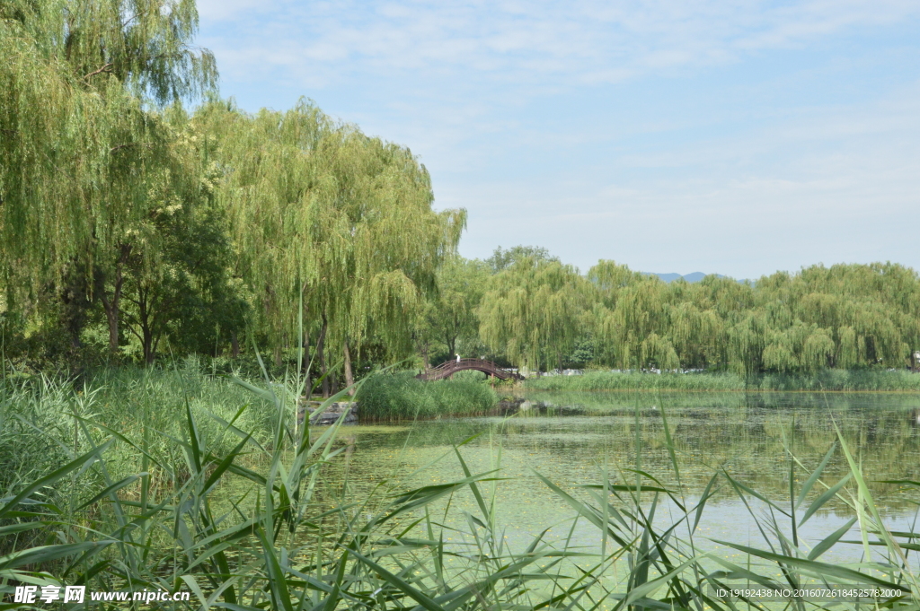 圆明园风景