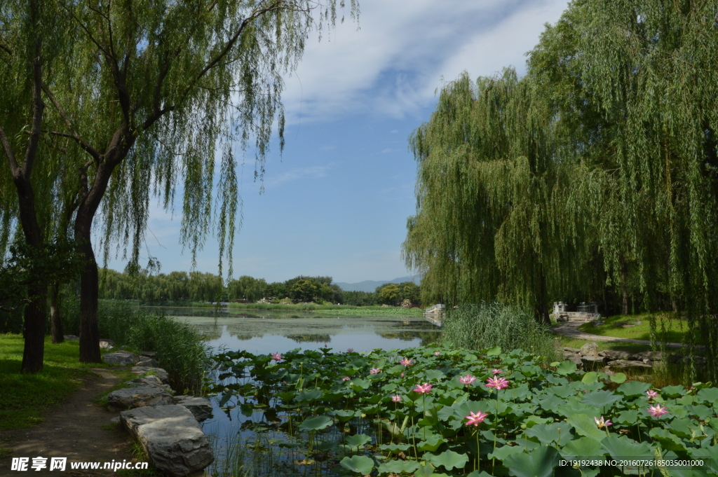 圆明园美景