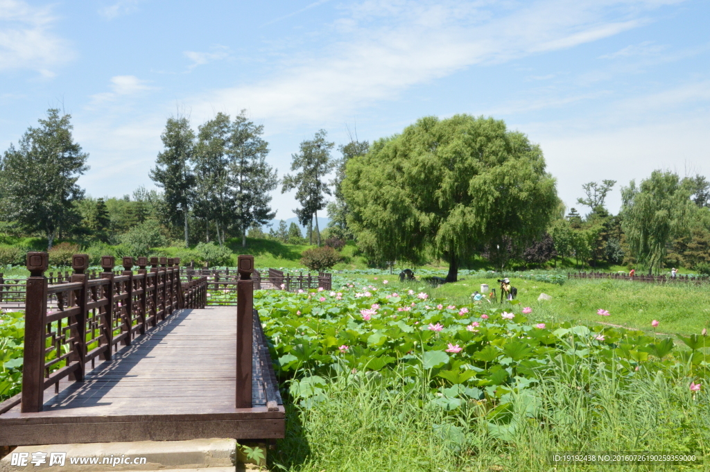 圆明园风景