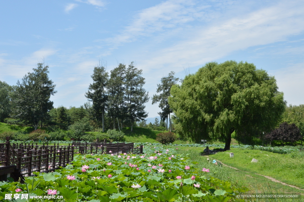 圆明园风景
