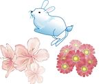 鲜花花朵 玉兔