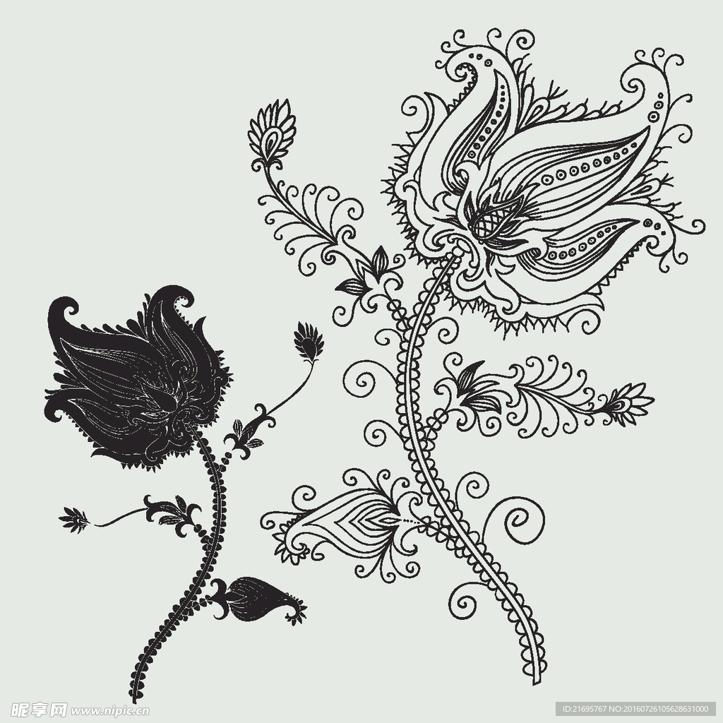 花纹