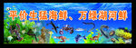 海草 海底