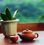 泡茶