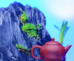 泡茶
