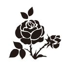 玫瑰花