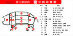 猪全身部位图