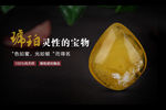琥珀海报