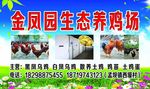 养鸡场