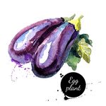 茄子