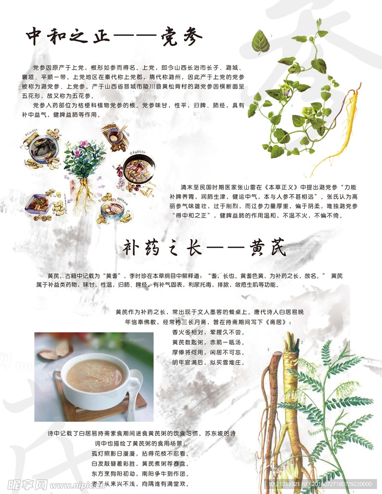 中药展板