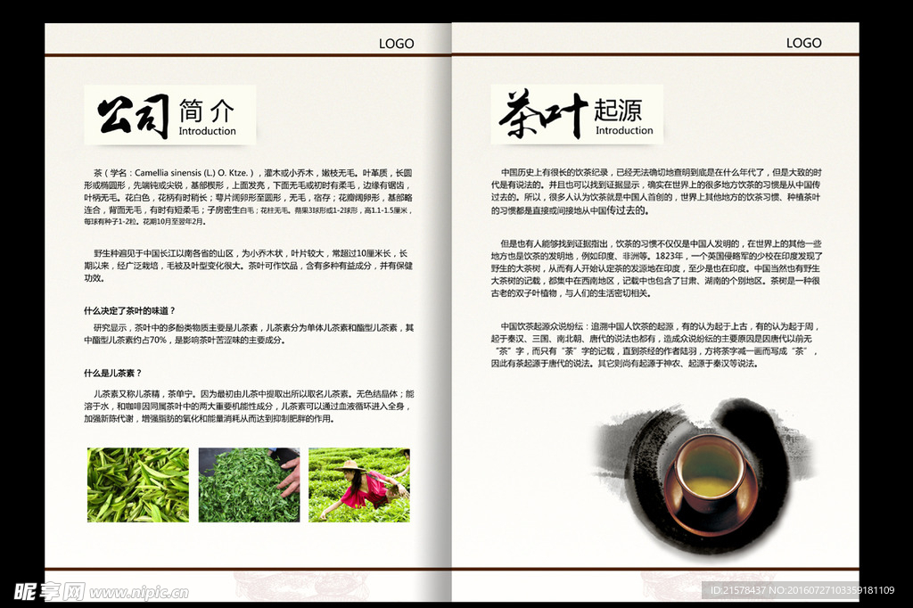 茶叶画册