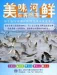 美味河鲜海报