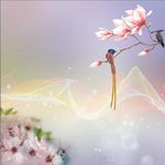 彩色线条泡泡桃花背景