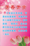 芳香开背