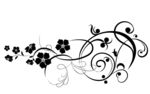 黑白花边花纹