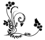 黑白花边花纹