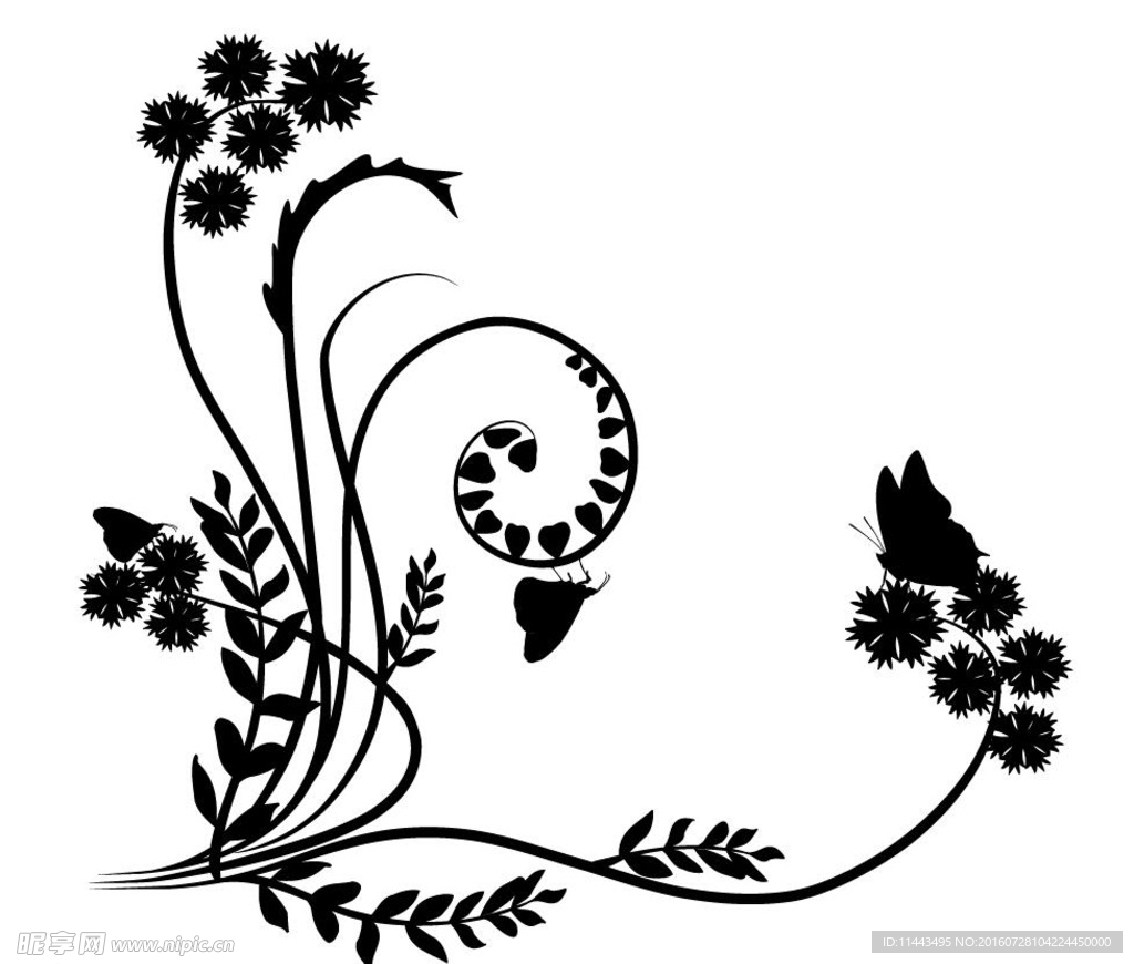 黑白花边花纹