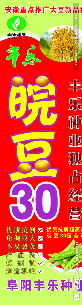 丰乐种业