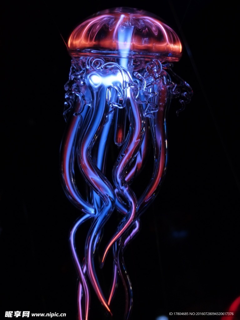 水母