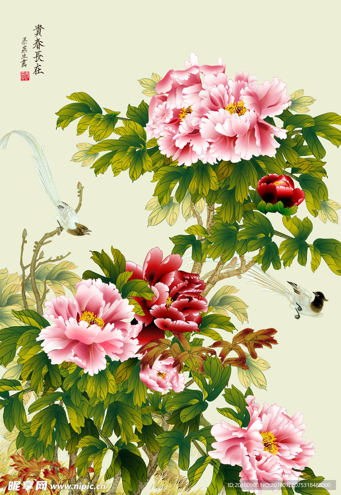 牡丹花