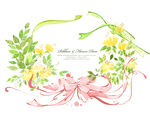 美丽花纹
