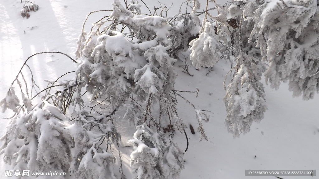 雪