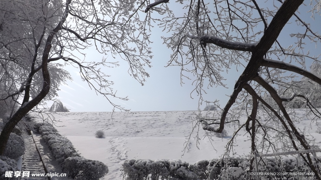 南方雪景