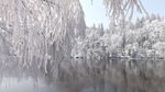 山中雪景