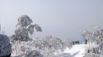 鸡公山雪景