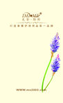 美舍雅阁名片模版