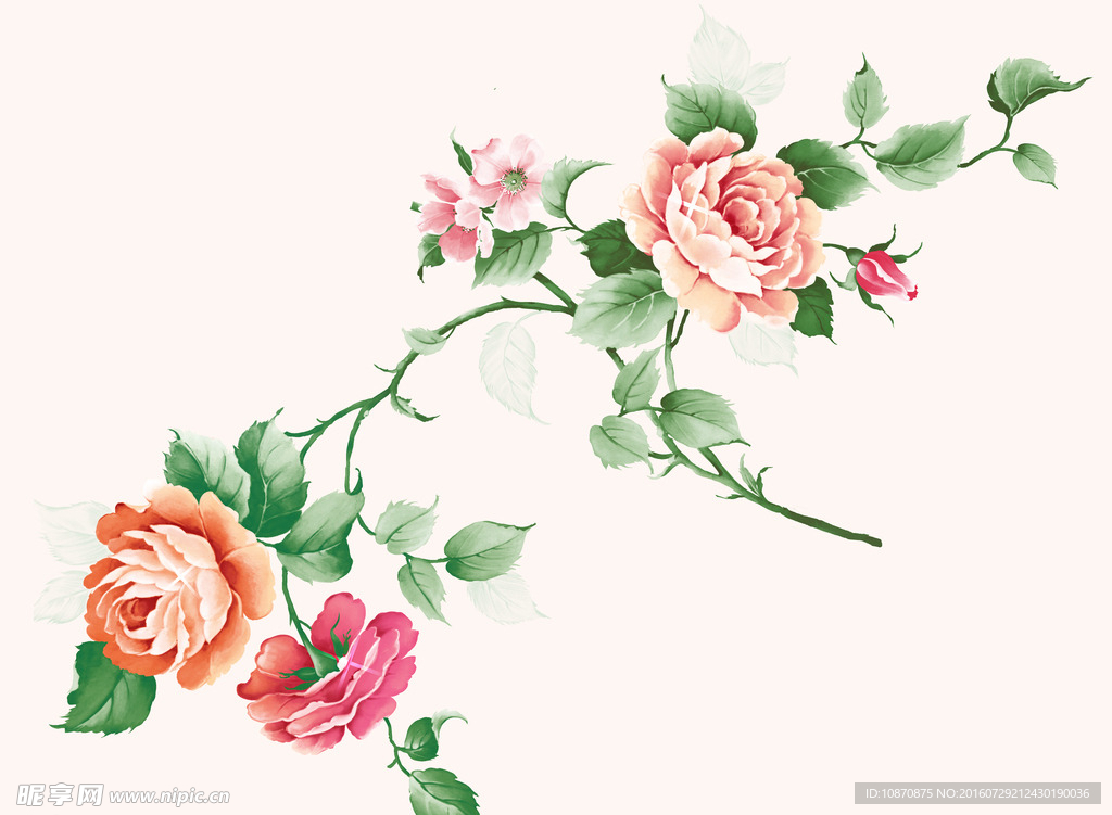 牡丹花