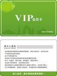 绿色会员卡