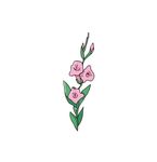 喇叭花