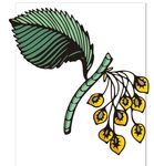 线描花