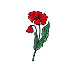 午时花