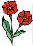 芙蓉葵