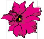 芍药花