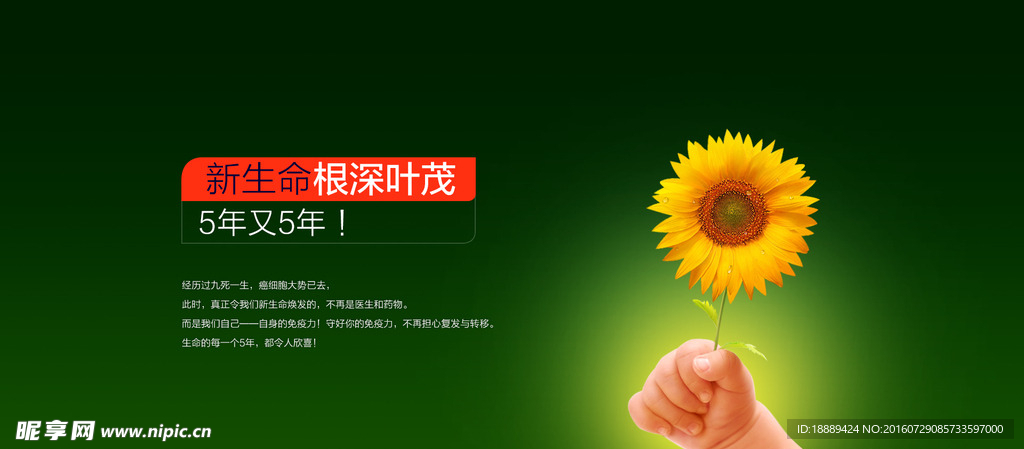 向往生命