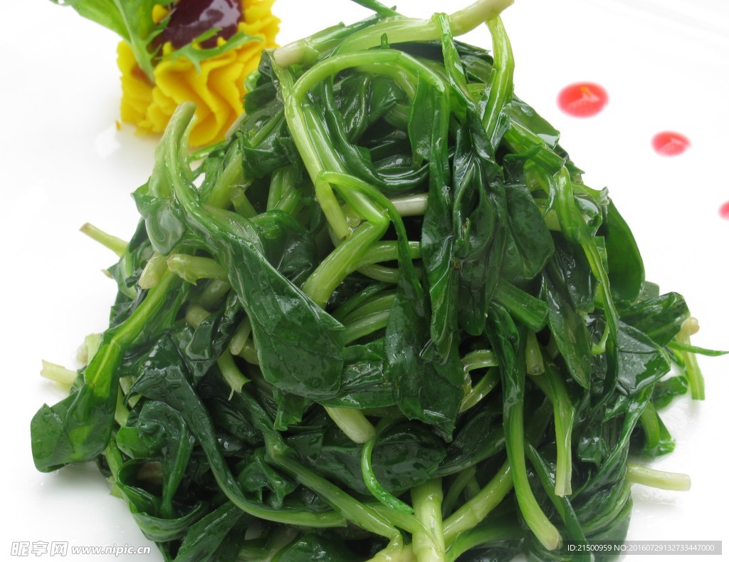 清口马兰