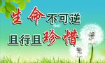 珍惜生命