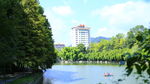 树木湖泊