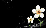 文艺小花素材背景图