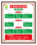 同缘堂生物磁经络调理