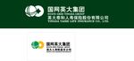 国网英大集团