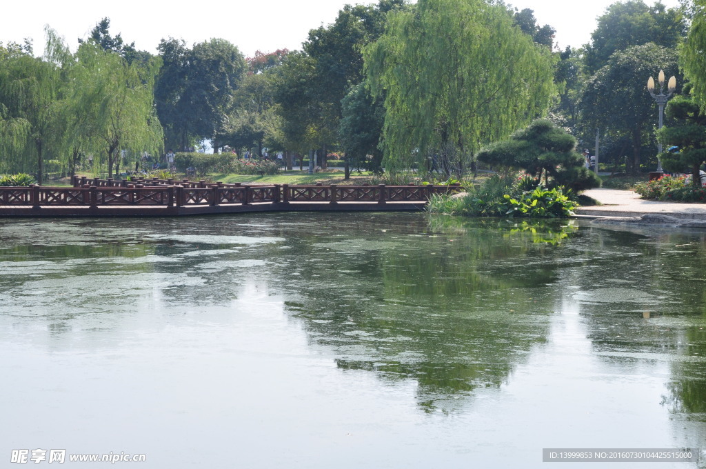 湖面风景