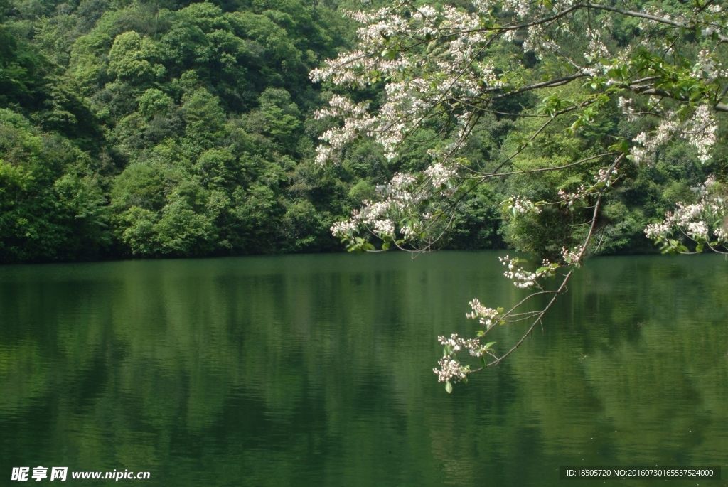 湖水公园景色