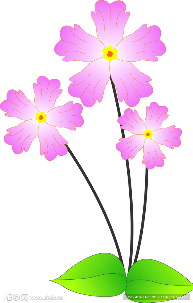花