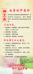 神艾灸无声的中药师