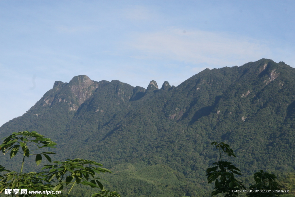 五指山